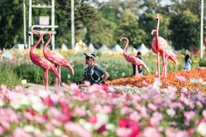 BIB: 
                            <button type="button" onclick="openModal(27344328)" class="btn btn-primary btn-sm float-right btn-popup" data-toggle="modal" data-target=".modal-high-quality">
                        <i class="fas fa-shopping-cart"></i> Add to Cart
                    </button>
                                            <button type="button" onclick="isThisMe(27344328, true)" class="btn btn-success btn-sm float-right btn-popup btn-isme hidden" data-toggle="tooltip" data-placement="bottom" title="นี่คือรูปของคุณใช่ไหม คลิกที่นี่เพื่อเอาเข้าอัลบั้ม">
                        <i class="fas fa-plus"></i> Add to album
                    </button>
                    <button type="button" onclick="isThisMe(27344328, false)" class="btn btn-warning btn-sm float-right btn-popup btn-isnotme hidden">
                        <i class="fas fa-ban"></i> Remove from album
                    </button>